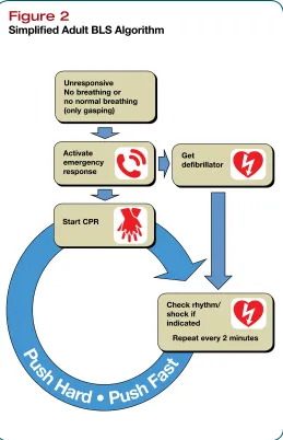 Figure 2Simplified Adult BLS Algorithm
