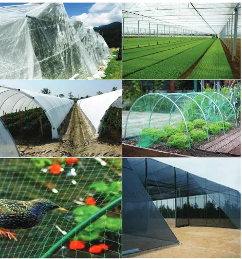 Figure 1. Agrotextiles [12-14]