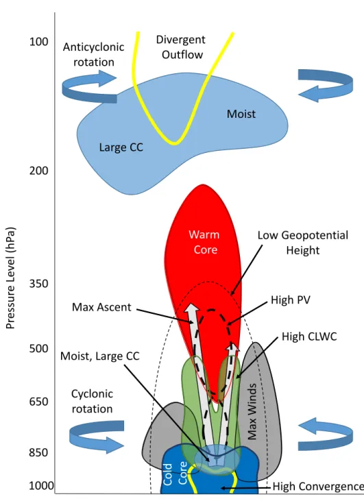 Figure 3.19: Schematic of the composite monsoon depression. CC = cloud cover; CLWC = cloud liquid water content; PV = potential vorticity.