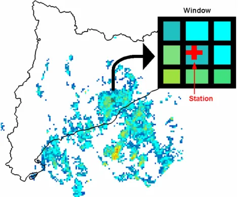 Fig. 3. Radar window example. Square window of 3 × 3 pixel dimension is centered over a rain gauge (red cross).