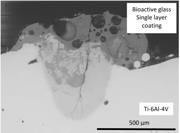 Fig. 11 SEM image showing cross section of the bioactive glass coating on not preheated Ti-6Al-4V base plate (single track)