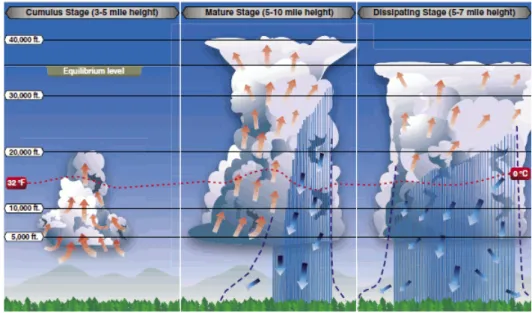 Figure 2.3: The three typical stages in the life cycle of convection. Source: http: