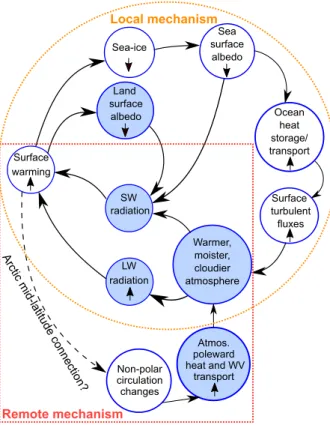 Figure 1.3: The schematic diagram of feedback processes induced by the surface warming in the Arctic