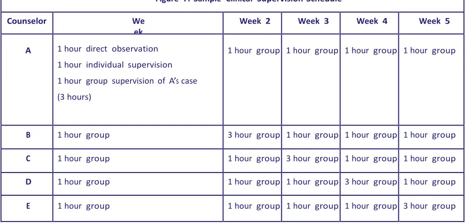 Figure 7. Sample  Clinical Supervision Schedule 