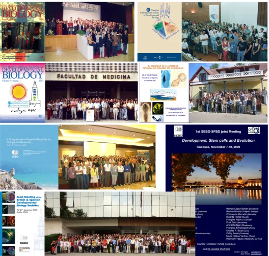 Fig. 3. (1999), Malaga (2001), Santander (2004), Alicante (2006) and Seville (2008). The latter was a joint meeting with the British Society of DevelopmentalMemories of the first six meetings of the Spanish Society of Developmental Biology (SEBD) held resp