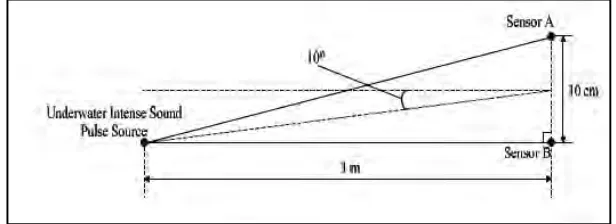 Figure 2.3: Collocation plan form of source and transducers [7] 