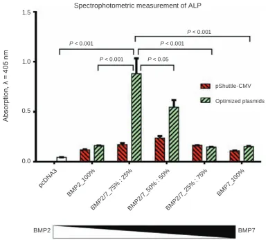 Fig. 2. The BMPs preparation generated upon transfection of 75% of BMP2 and 25% of BMP7 plasmids into producer HEK293 cells was the most effective inducer of osteoblast differentiation in C2C12 mesenchymal cells (crude evaluation)
