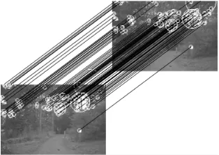 Figure 1. (a)The output of Scale-Saliency al-gorithm applied to the Lena picture, black cir-