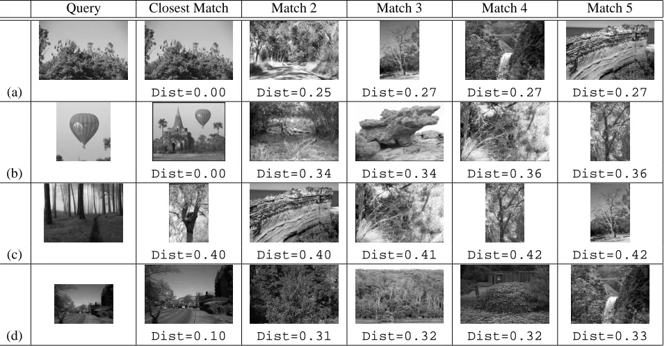Table 1. Results from matching with a number of test images. Image (a) shows the matching of animage taken straight from the image database, and hence the distance is zero (exact match); Image