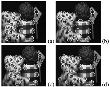 Figure 4. The overall path generated by thealgorithm on the ‘Artichoke’ sequence