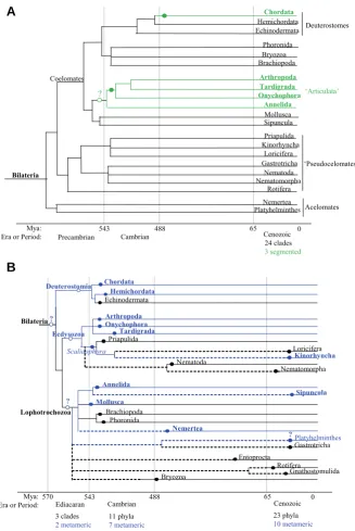 Fig. 1. Phylogenetic trees showing relationships