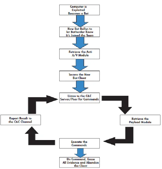 Figure 7: Common Steps in Botnet Life Cycle (Harley et al., 2007, p.36)  2.2.1.1 Tricking user to download a malicious code 