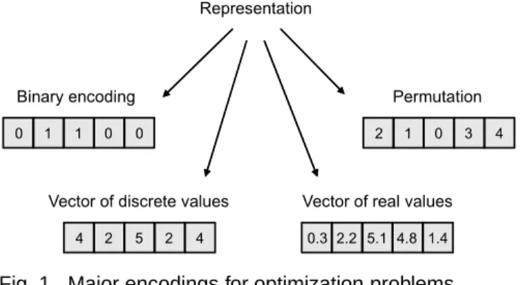 Fig. 1. Major encodings for optimization problems.