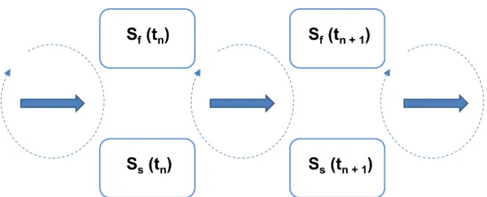 Fig. 2 Strongly coupled system for the one-way partitioned method