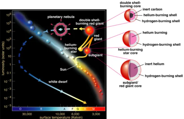 Figure 1.2: The evolution of a low-mass star in the Hertzsprung-Russell diagram (HR). Credit: Addison Wesley.