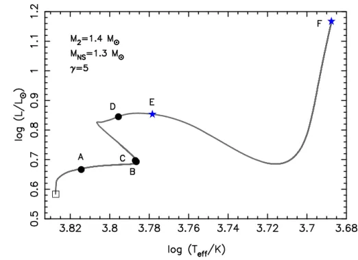 Figure 2.12: HR-diagram for the evolution of a 1.4 M  star (Z = 0.02). Along the evolutionary track (starting from the ZAMS marked by a square) is shown the points where such a donor star would initiate RLO to a 1.3 M 