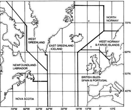 Figure 3: Map showing the borders of the putative stock areas as used by the IWC and NAMMCO