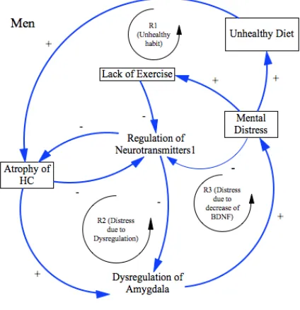 Figure 1 Casual Loop Diagram for men 
