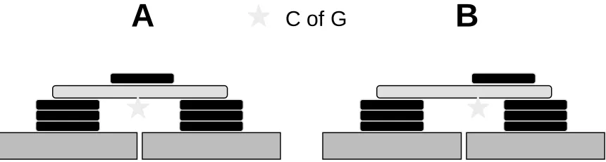 Figure 2Schematic representation of basic lab testing. Weights were stacked symmetrically (A)and asymmetrically (B) to test for reliability and sensitivity.