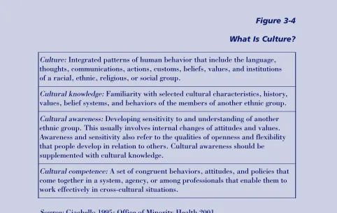 Figure 3-4 What Is Culture? 