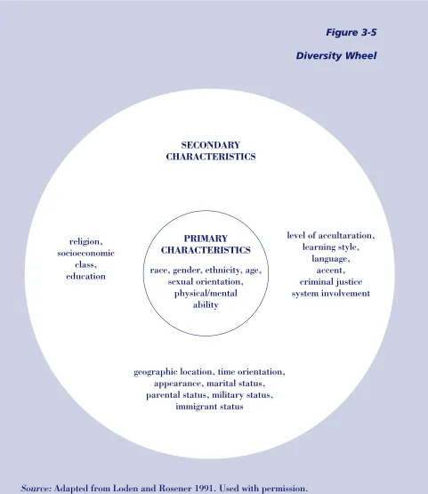 Figure 3-5 Diversity Wheel 