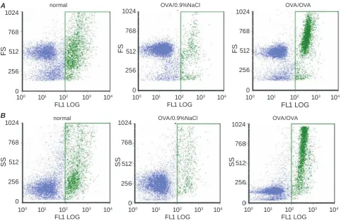 Fig. 5. NO formation depending on size (panel a) and granularity (panel B) in cell subpopulations derived from guinea pig BAL fluid