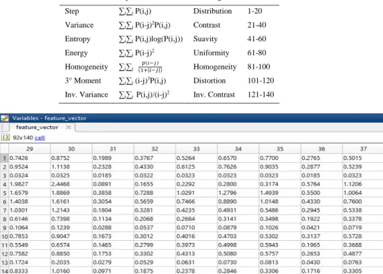 Table 1. Texture features and their positions in feature vector 