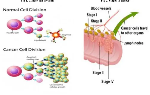 Fig 1. Cancer cell division 