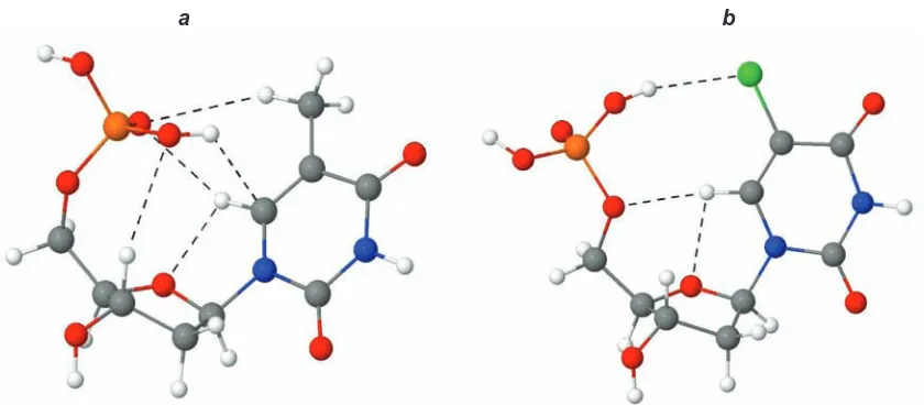 Fig. 3. The structure of the pairs of a conformers 136deoxyuridine monophosphate (b) where the change of  the torsion angles as a result of the modification is the  of molecules of 5'-thymidylic acid (a) and 5-chloro-2'-largest among all