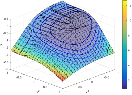 Fig. 3 Euclidean NM Phase Portrait, Two-Dimensional Illustrative Problem
