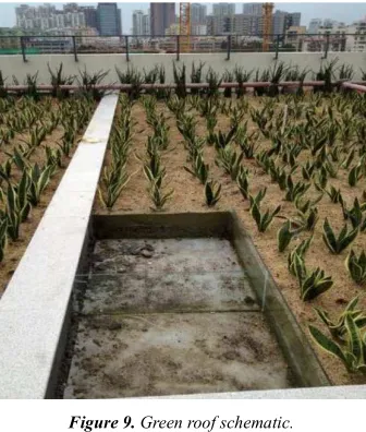 Figure 9. Green roof schematic. 