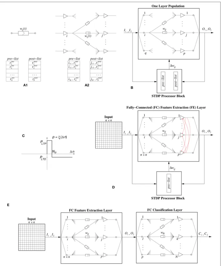 FIGURE 2 | (A) STDP computation. (A1) By keeping a pre- and a post-synaptic event list per synapse, (A2) by keeping a pre- and a post-synaptic event list per neuron population with its input synapses