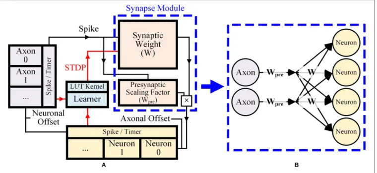 FIGURE 1 | (A) Overall dataflow of the proposed design, (B) Presynaptic weight scaling scheme.