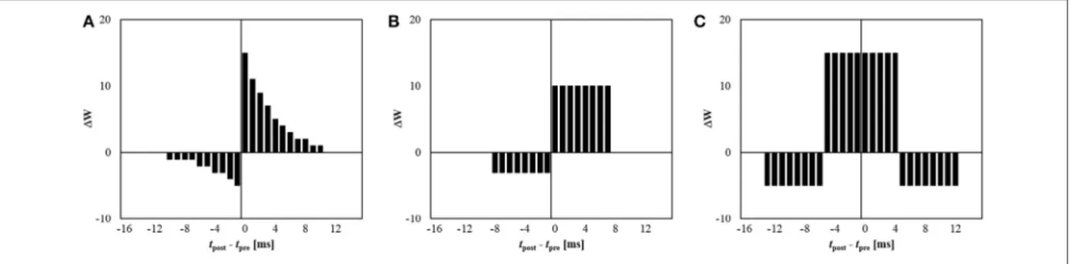 FIGURE 3 | Examples of possible kernel functions for 5-bit synapse: (A) exponential STDP, (B) simplified STDP, and (C) symmetric STDP.