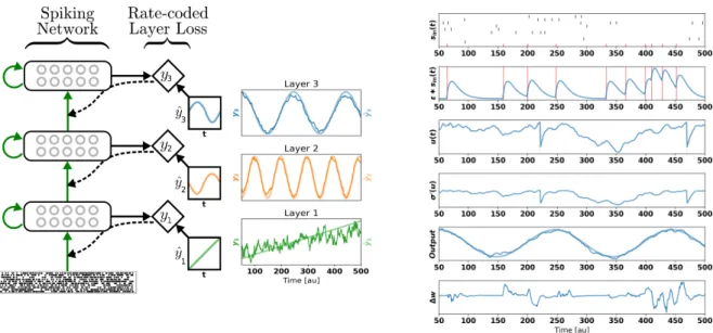 Figure 9: Deep continuous local learning example. (Left) Each layer consists of spiking neurons with contin- contin-uous dynamics