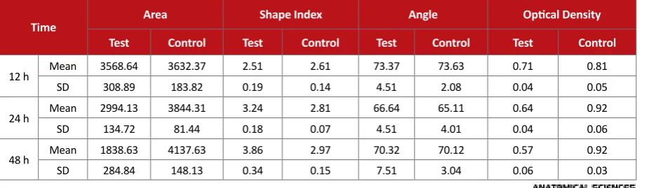 Table 1. Results of measuring different parameters related to cell morphology 