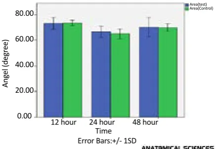 Figure 4. Cell rotation angle changes in the control and test groups 