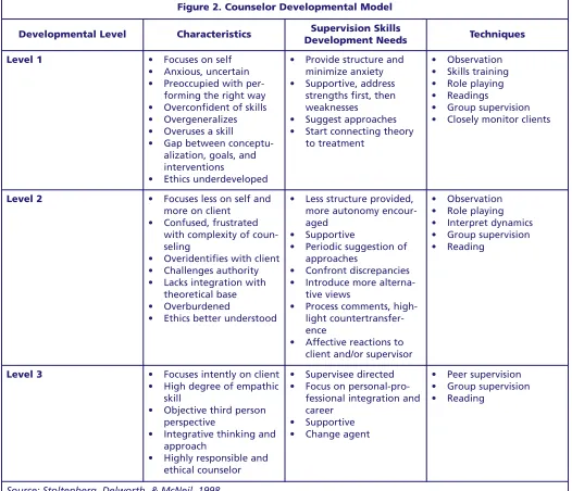 Figure 2. Counselor Developmental Model 
