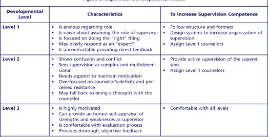 Figure 3. Supervisor Developmental Model 