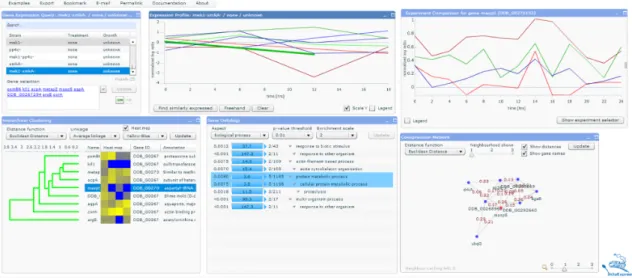 Figure 3.1: dictyExpress’ interface for exploring and visualising Dic- Dic-tyostelium gene expressions.