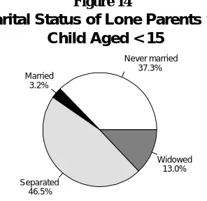 Figure 14 Marital Status of Lone Parents with