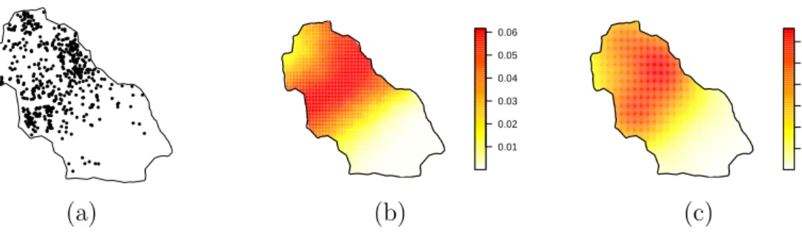 Figure 2.6: (a) The Duke forest data, (b) the posterior mean of the intensity surface for the NHPP model, and (c) the kernel intensity estimate.