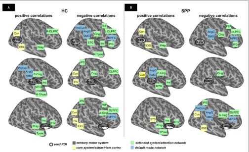 FIGURE 3 | Schematic representation of the functional networks in healthy controls (HC) (A) and social phobic patients (SPP) (B), based on the results reported in Figure 1