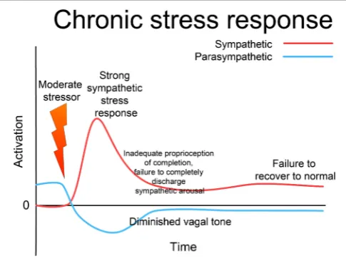 FIGURE 4 | Chronic stress response. If the stressor is above a certainintensity or duration, the sympathetic response is more intense; if there isan inadequate defensive response, the system as a whole may fail to resetto normal functioning, remaining “tun