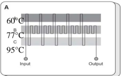 Fig. 7: Schematic of a chip for continuous flow PCR. 