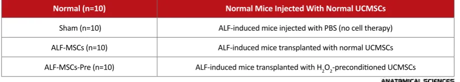 Table 1: Description of different mice groups and their related abbreviation.