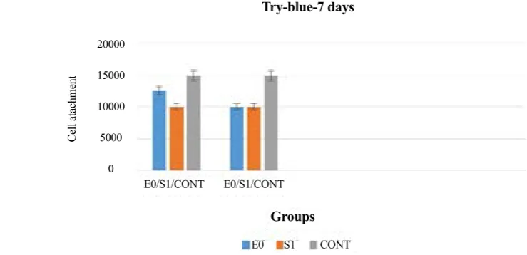 Figure 3. TB diagram for day 7. 