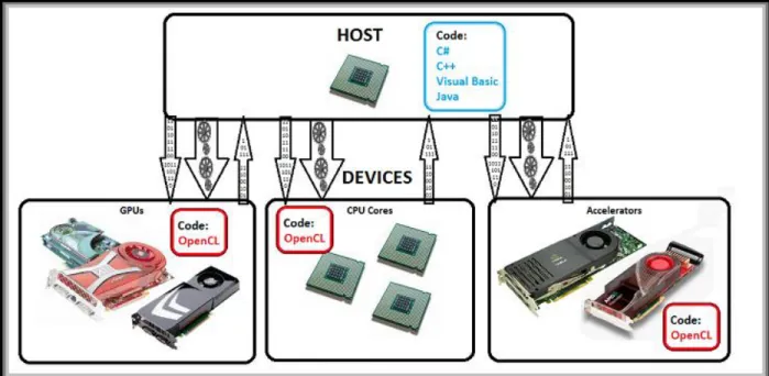 Figure 3: Host and Various Accelerators (CMSoft) 