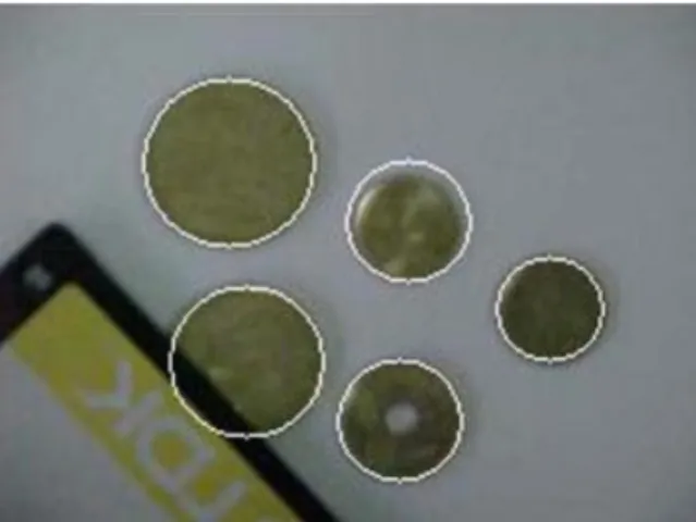 Figure 7 An example of assignment: counting coins. [Color ﬁgure can be viewed in the online issue, which is available at wileyonlinelibrary.com.]