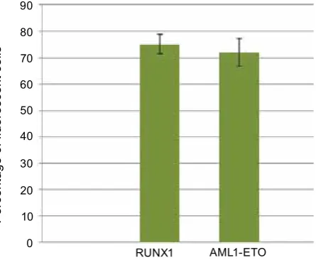 Fig. 1. efficiency of transgene expression in SC-1 murine fibroblast cell lines transduced with aML1-eTO- and rUNX1-k83N-expressing recom-binant retroviral vector particles
